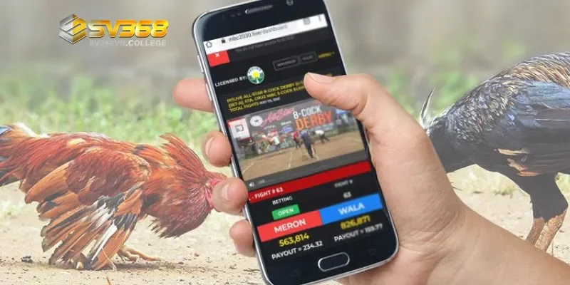 Những điểm mạnh nổi bật của SV368 trong cá cược đá gà