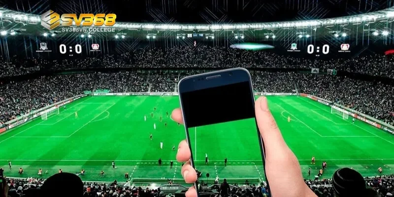 Vì sao cá độ bóng đá tại SV368 thu hút cược thủ?